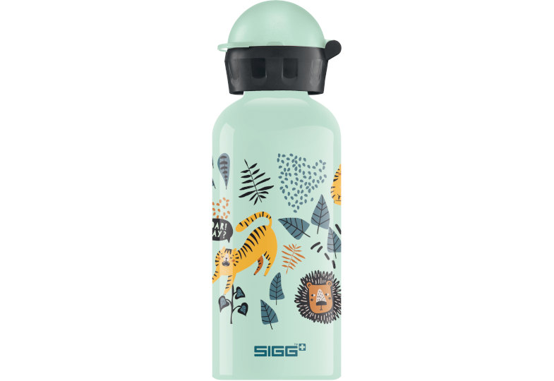 Gewinnspiel Trinkflasche SIGG