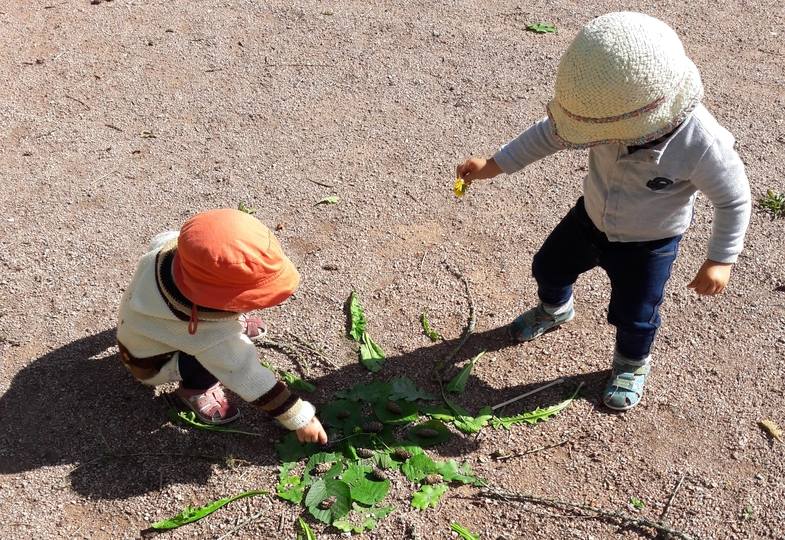 Grün tut gut: Bildungsraum Natur