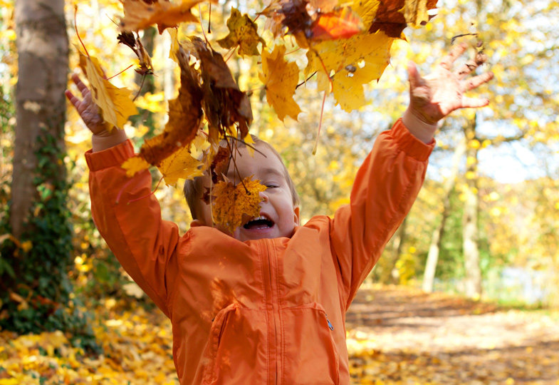 Herbstfreuden