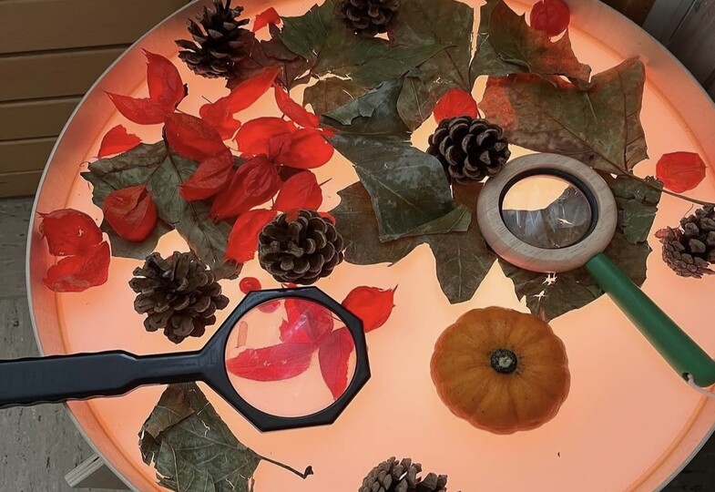 Leuchtende Herbstschätze: Unsere Lieblingsecken