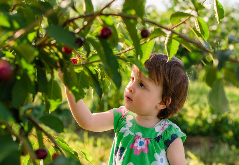 Rot, gesund & richtig lecker!