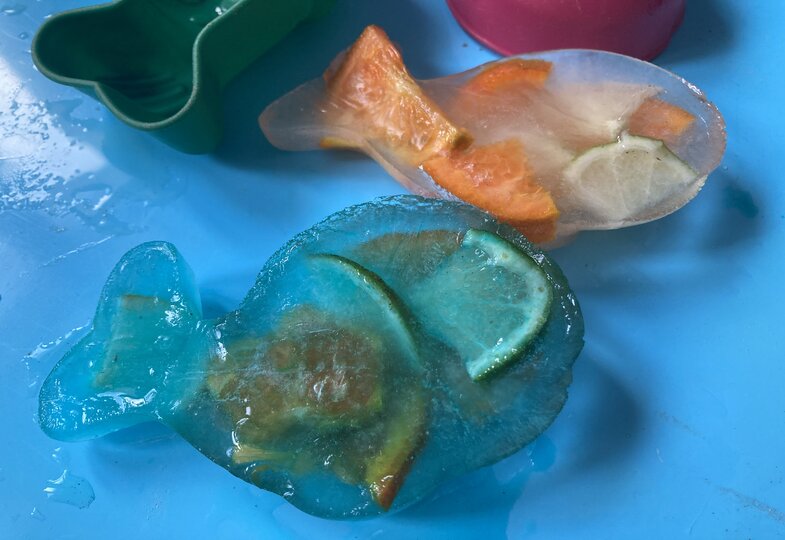 Zwei große Eisformen sind mit Zitrusfrüchten gefüllt.