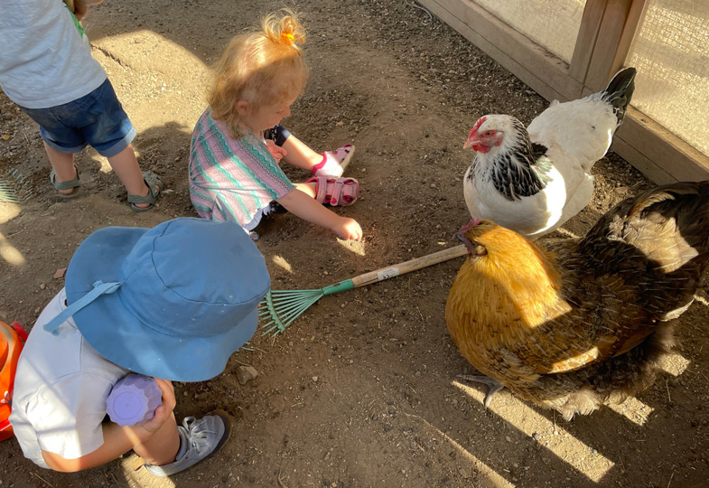 Tiere hautnah erleben