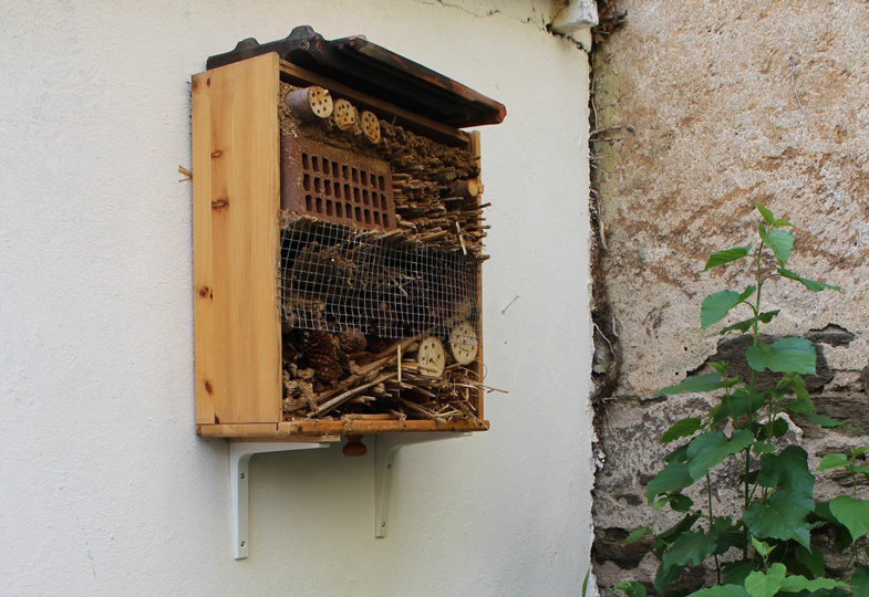 Willkommen im Insektenhotel!