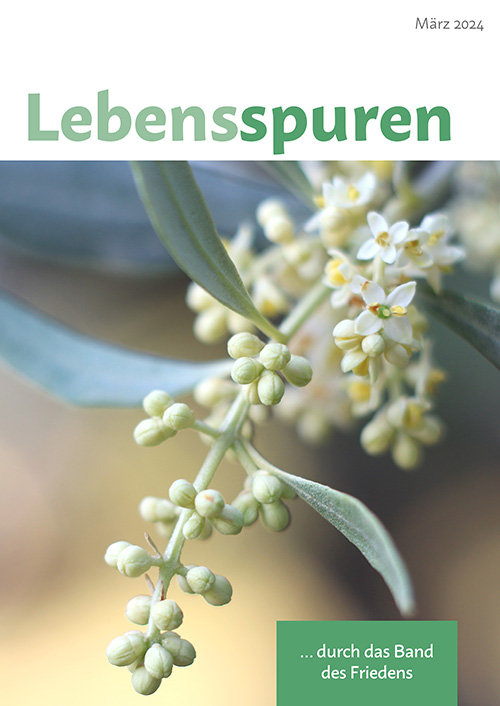 Titelseite: Lebensspuren 3/2024