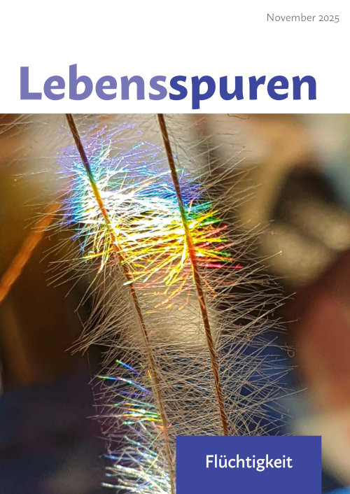 Heft 11/2025: Flüchtigkeit