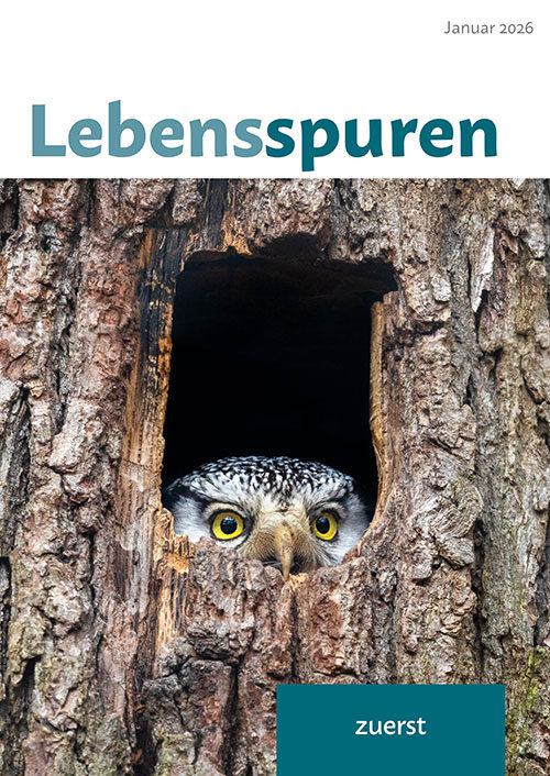 Heft 1/2026: zuerst