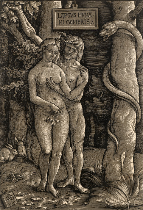 Der Sündenfall (1511) von Hans Baldung Grien. Obscur-Holzschnitt im Kupferstichkabinett der Staatlichen Kunstsammlungen Dresden. bpk/Herbert Boswank.