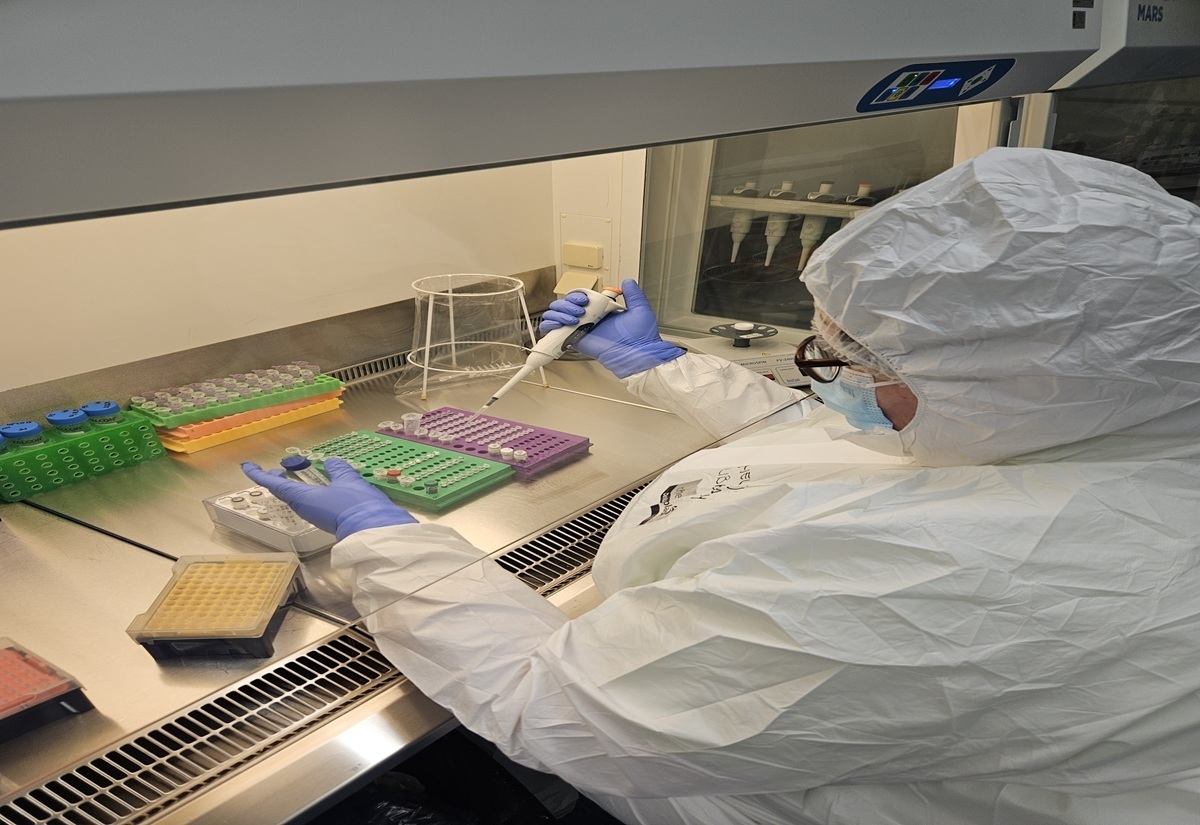 2.000 Jahre alte Herpesviren im menschlichen Genom entdeckt