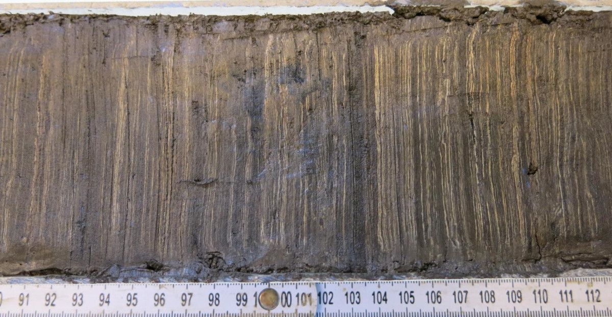 Ein länglicher Sedimentkern mit deutlich sichtbaren, vertikal verlaufenden Schichten liegt quer im Bild. Die Schichten unterscheiden sich in Farbe und Textur. Am unteren Bildrand befindet sich ein Maßstab mit Zentimeter- und Millimeterangaben.