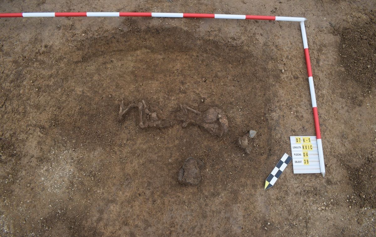 Archäologische Ausgrabung mit einem menschlichen Skelett in einer ovalen Grube, umgeben von einem Maßstab und einer Beschriftung.