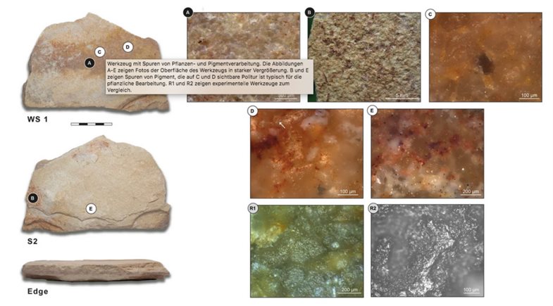 Beispiel von Mahlwerkzeugen mit Spuren von Pflanzen- und Pigmentverarbeitung. Die Abbildungen A-E zeigen Fotos der Oberfläche des Werkzeug in starker Vergrößerung. B und E zeigen Spuren von Pigment, die auf C und D sichtbare Politur ist typisch für die pflanzliche Bearbeitung. R1 und R2 zeigen experimentelle Werkzeuge zum Vergleich.