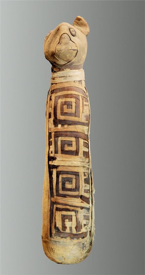 Katzenmumie, ptolemäische/römische Zeit (nach 305 v. Chr.)..