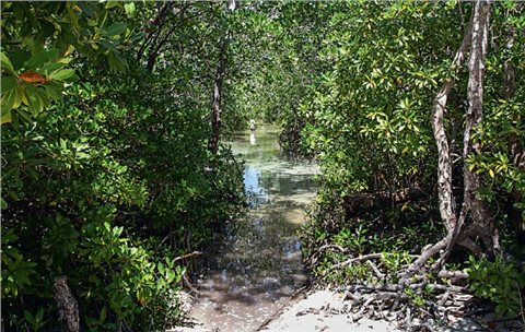 Songo Mnara Zugangspfad