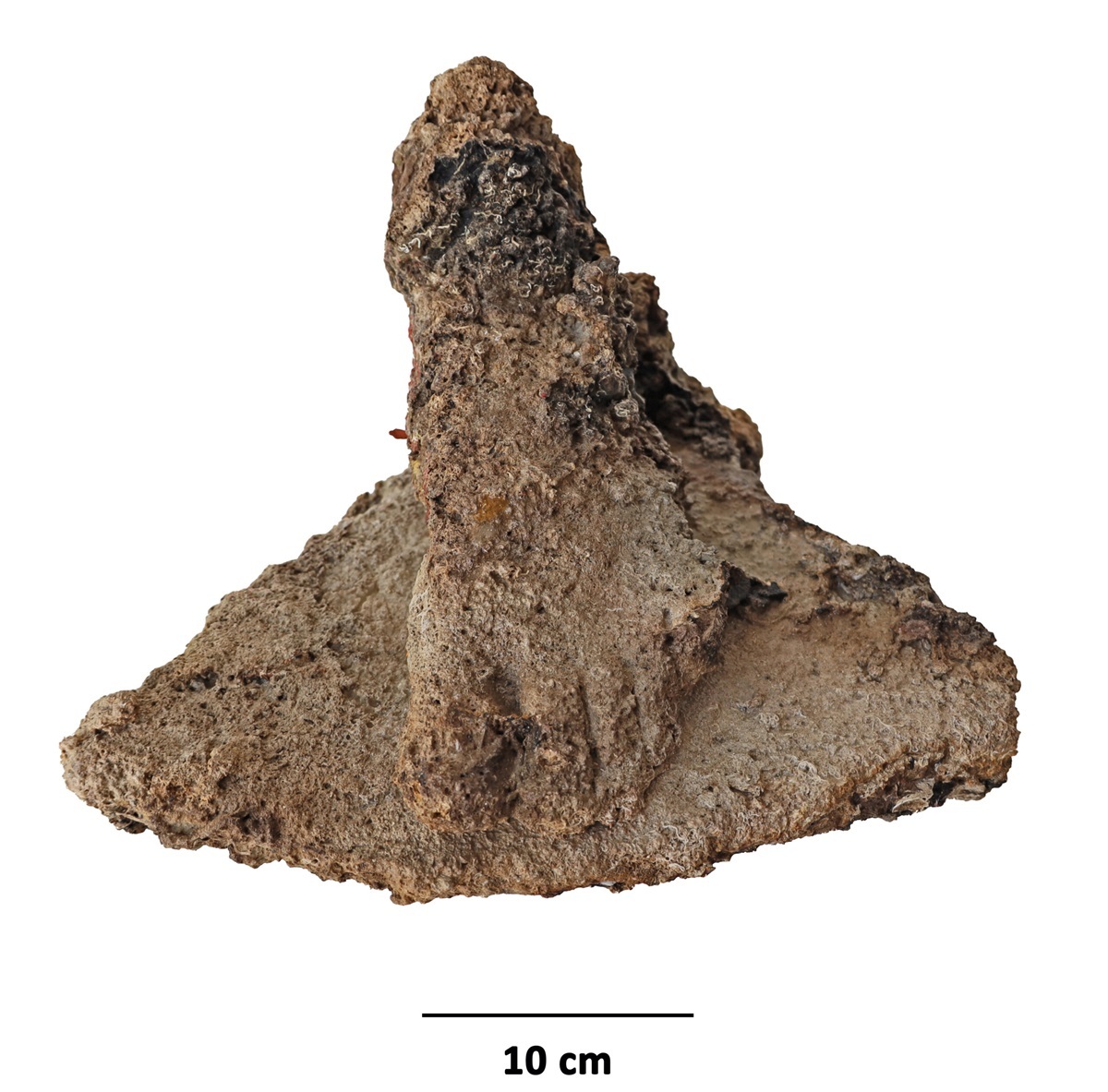 Stark mit Ablagerungen versehener Fuß einer Statue aus Marmor 