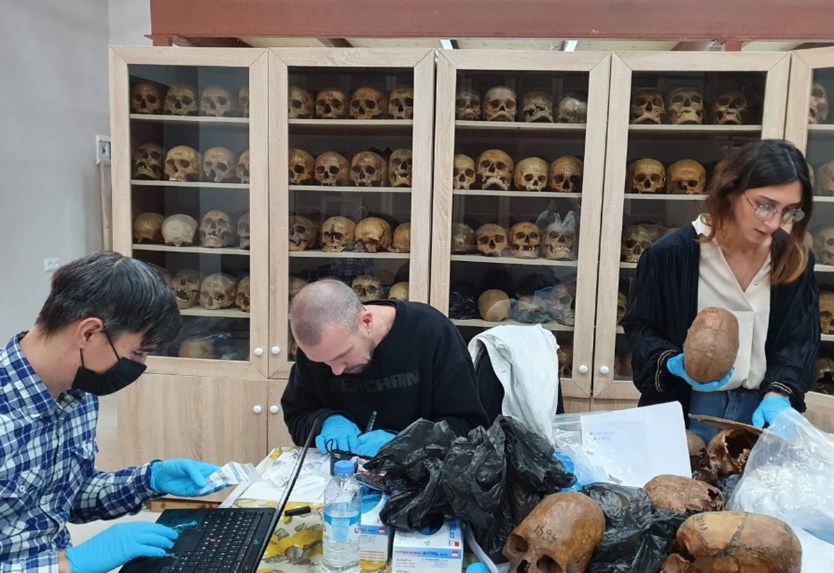 Drei Archäogenetiker untersuchen menschliche Schädel. Im Hintergrund stehen Vitrinen mit Schädeln.