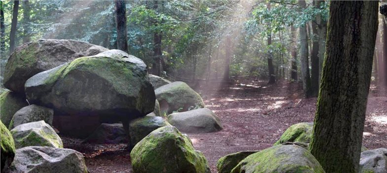Während es das antike Griechenland und Rom meist bis ins Klassenzimmer schaffen, bleibt die Steinzeit Europas meist außen vor. Dabei gibt es mittlerweile genügend Orte, die längst nicht mehr nur vor Ort, sondern auch digital besucht werden können, wie bspw. die Großen Sloop-Steene bei Lotte-Wersen – das am besten erhaltene Megalithgrab Westfalens.