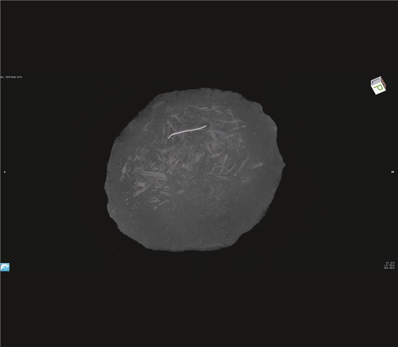 Auch kleinste Metallobjekte konnten geortet werden.