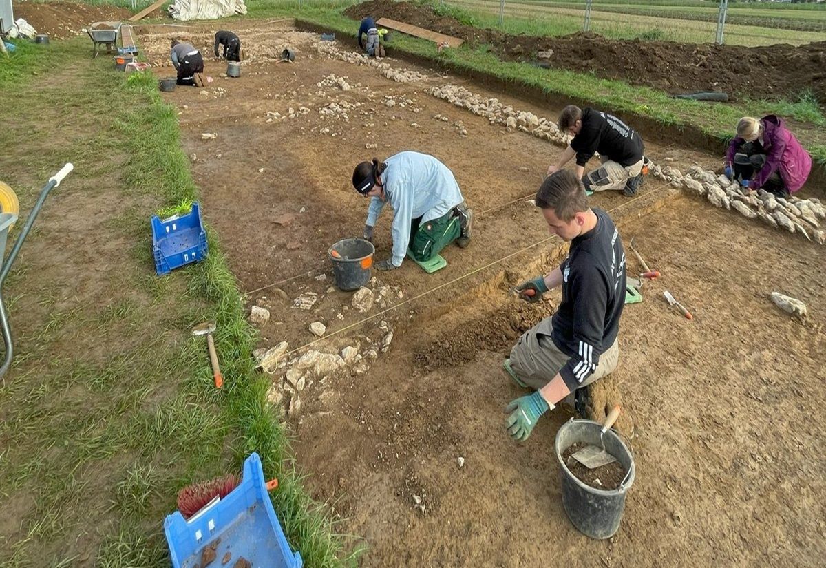 Grabungsschnitt in einer Wiese, in dem sieben knieende Personen steinerne Strukturen freilegen.