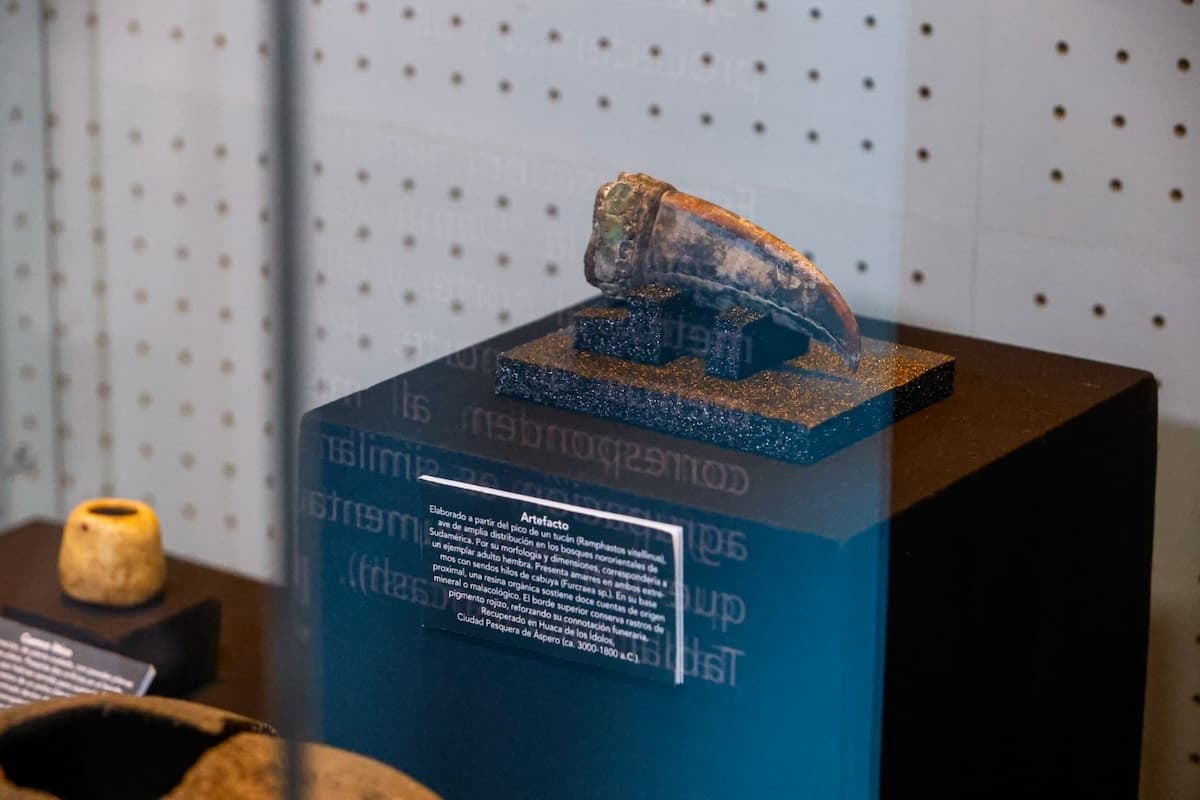 Als Grabbeigabe fanden die Archäologen unter anderem einen Tukanschnabel