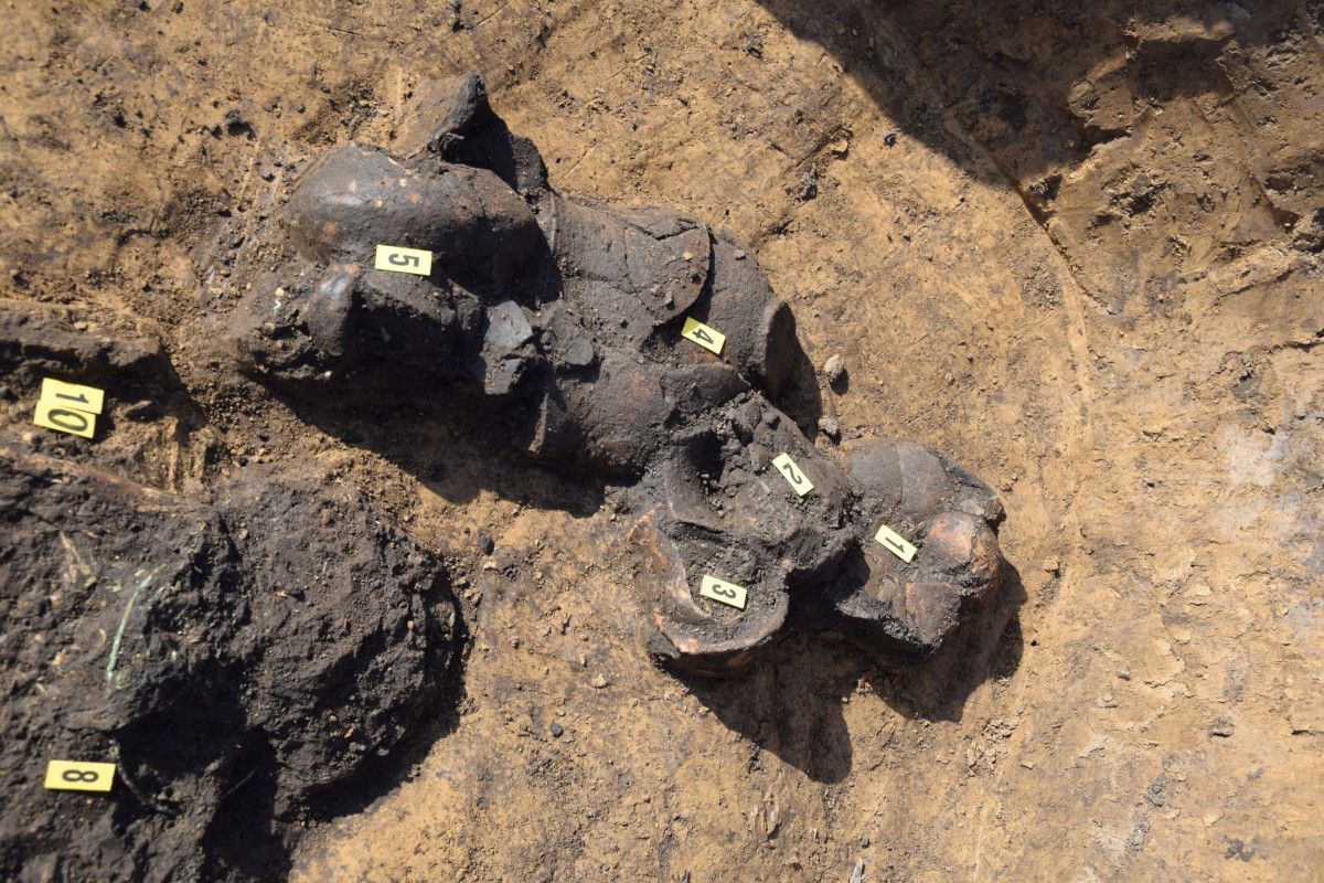 Archäologische Ausgrabungsstätte mit mehreren nummerierten, teilweise zerbrochenen Tongefäßen im Boden