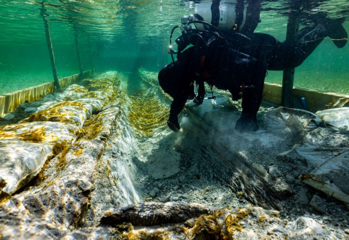 Bedrohte Schätze unter Wasser: Archäologische Zeugnisse im Bodensee und oberschwäbischen Seen