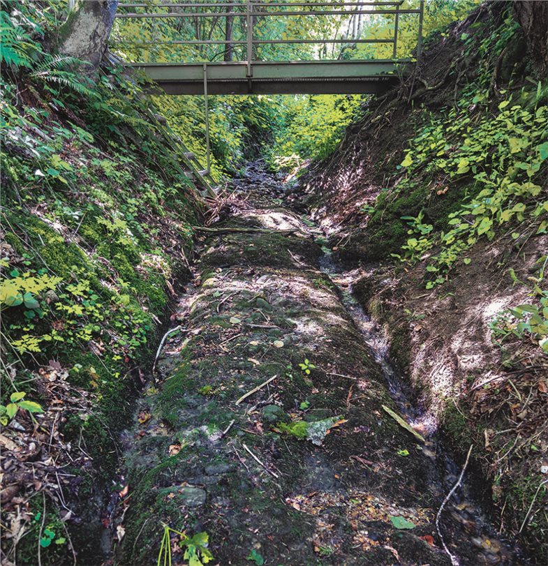 Von der antiken Allgäustraße zeugen Radspuren.