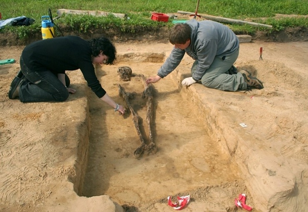 Das frühmittelalterliche Gräberfeld von Elstorf im Fokus neuer Forschung