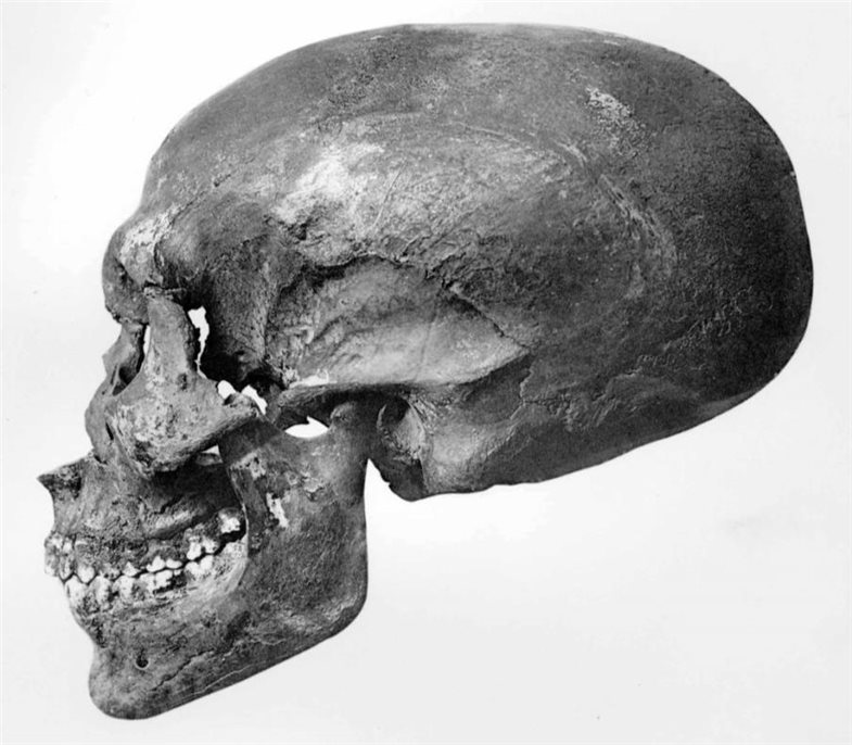 Der Schädel von KV 55, Foto von G. E. Smith 1912.