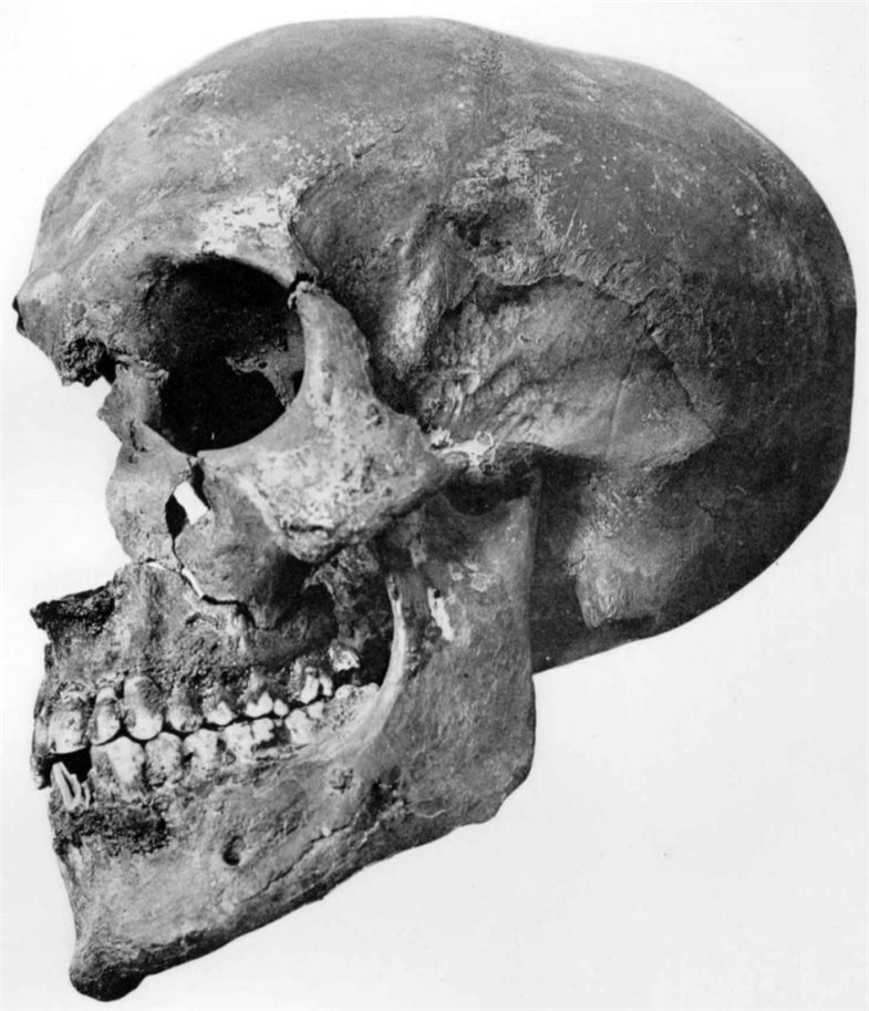 Der Schädel von KV 55, Foto von G. E. Smith 1912.