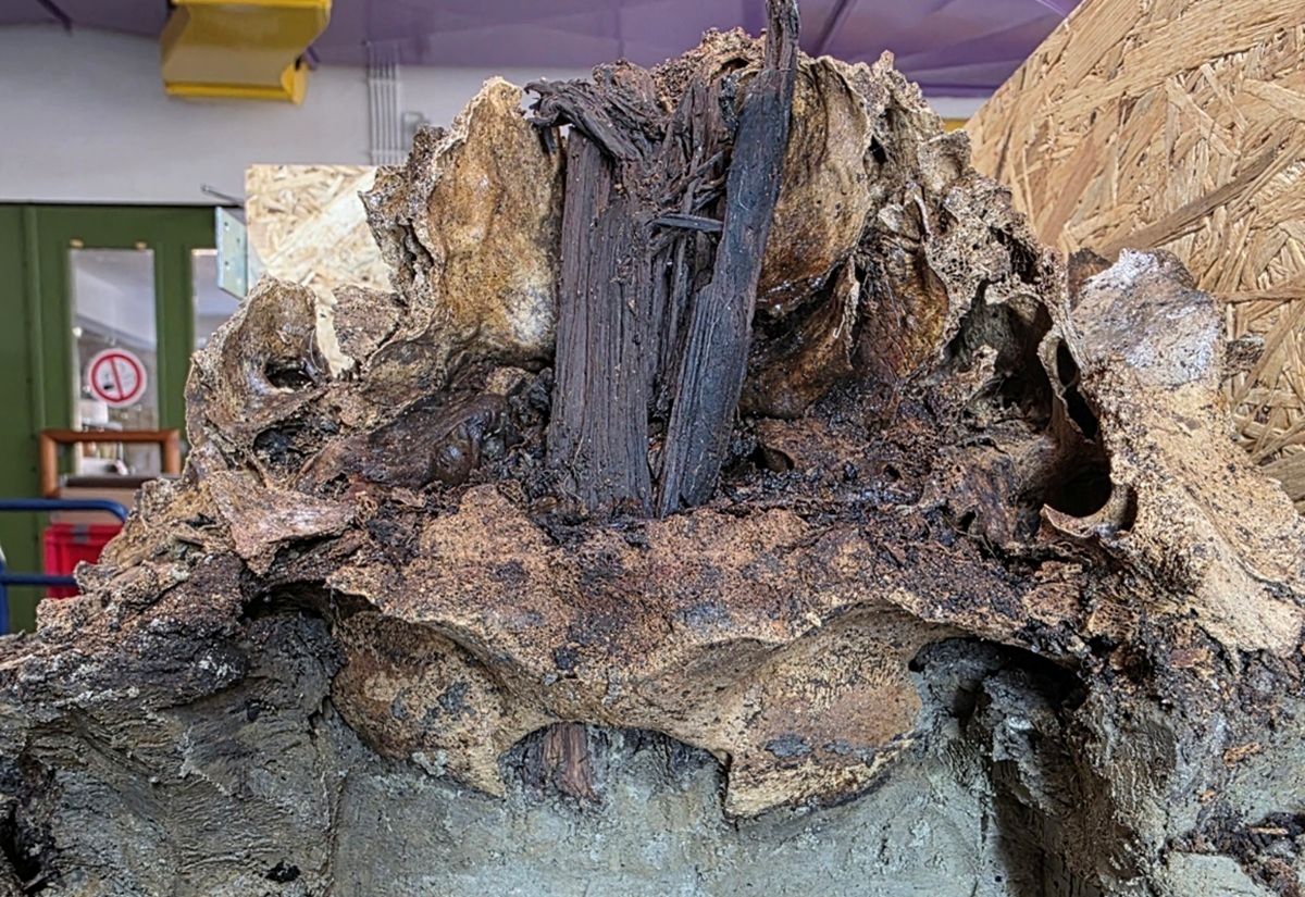 Ein einzigartiger Fund im Duvenseer Moor bietet neue Einblicke in steinzeitliche Glaubenswelten