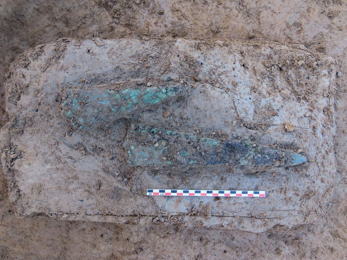 Im Zentrum liegen zwei  längliche, grünlich schimmernde Strukturen im Erdreich, die von dunklen und hellen Bodenverfärbungen umgeben ist. Darunter befindet sich ein Maßstab mit abwechselnd roten, blauen und weißen Segmenten. Die Oberfläche zeigt feuchte, lehmige Erde mit vereinzelten kleinen Steinen.