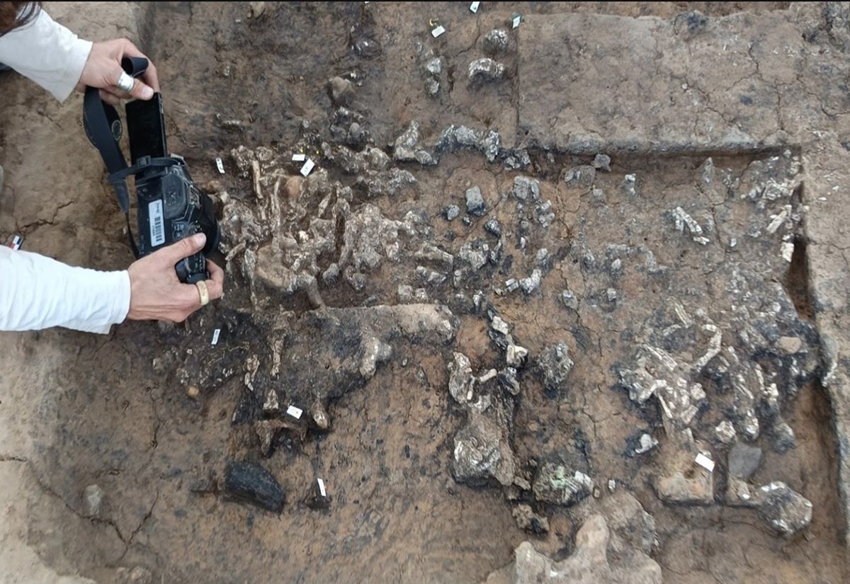 Ein reich ausgestatteter Scheiterhaufen aus der Hochkaiserzeit