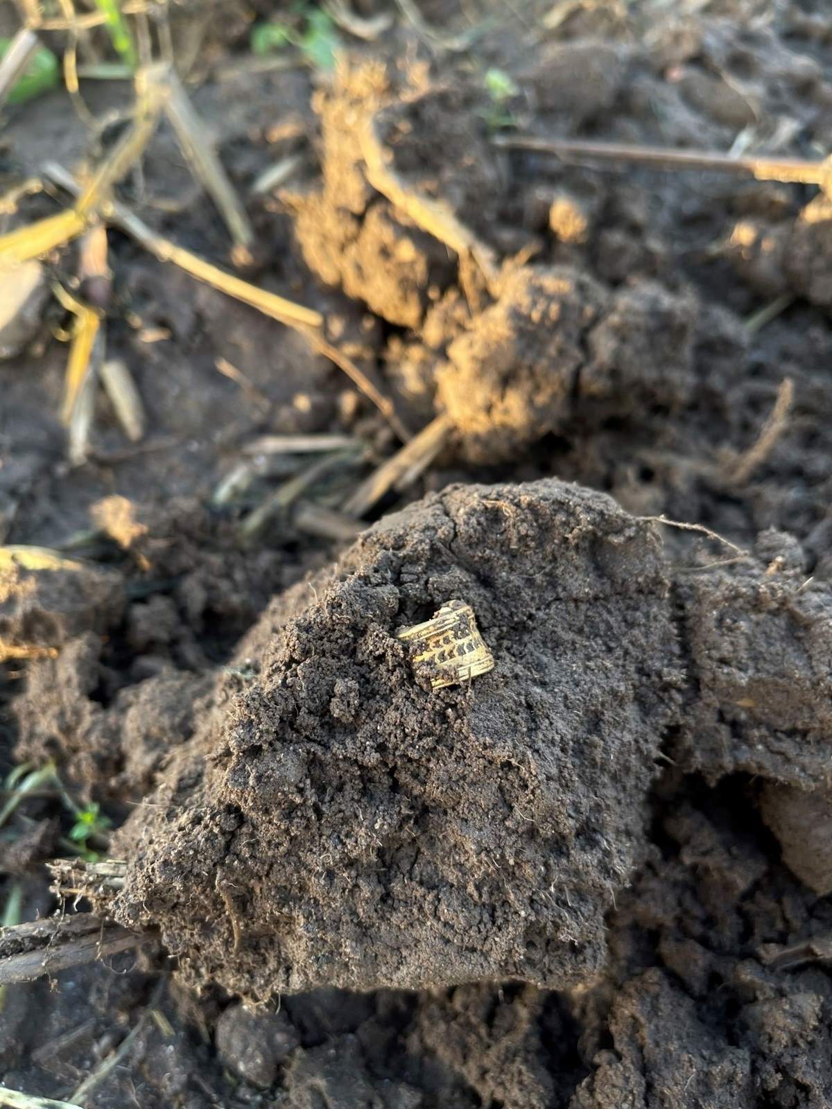 Das Miniatur-Dosenschloss aus Petershagen bei der Auffindung
