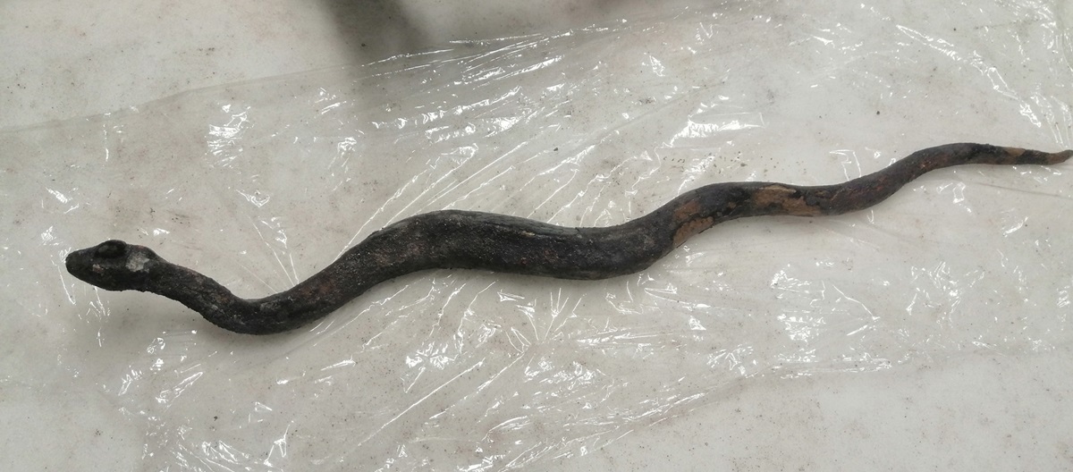 Schlange aus Bronze aus dem Fund von San Casciano dei Bagni 