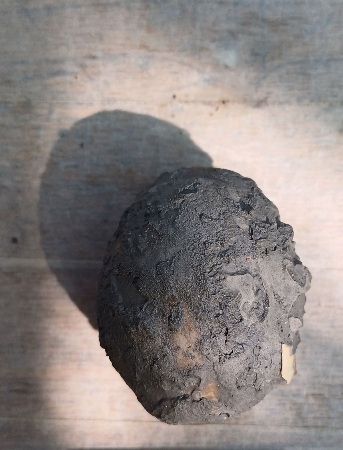 Vollständig erhaltenes Ei aus dem Fund von San Casciano dei Bagni