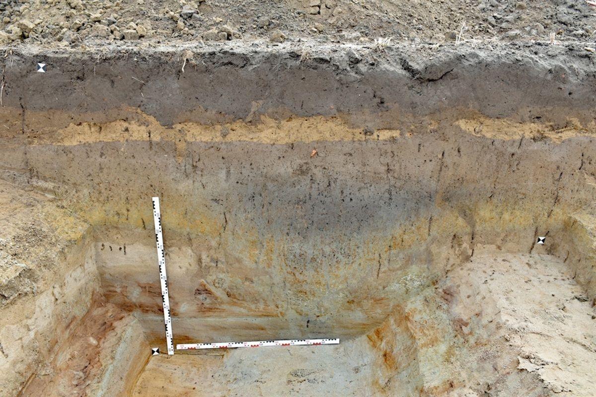 Ein Erdprofil mit mehreren unterschiedlich gefärbten Bodenschichten ist zu sehen. Zwei Messlatten mit Zentimeter- und Meterangaben sind rechtwinklig im Profil platziert. Die obere Schicht ist dunkel, darunter folgen hellere und gelbliche Lagen. Die Erdschichten zeigen deutliche horizontale Abgrenzungen.