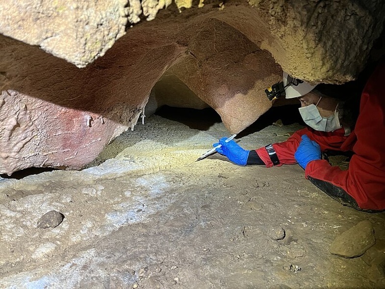 Eine Person mit Schutzmaske, Stirnlampe und blauen Handschuhen liegt auf dem Bauch in einer Höhle und untersucht mit einem kleinen Werkzeug den sandigen Boden nahe einer Felswand. Die Szene ist von künstlichem Licht beleuchtet, das den Höhlenraum und die Felsstruktur deutlich sichtbar macht.