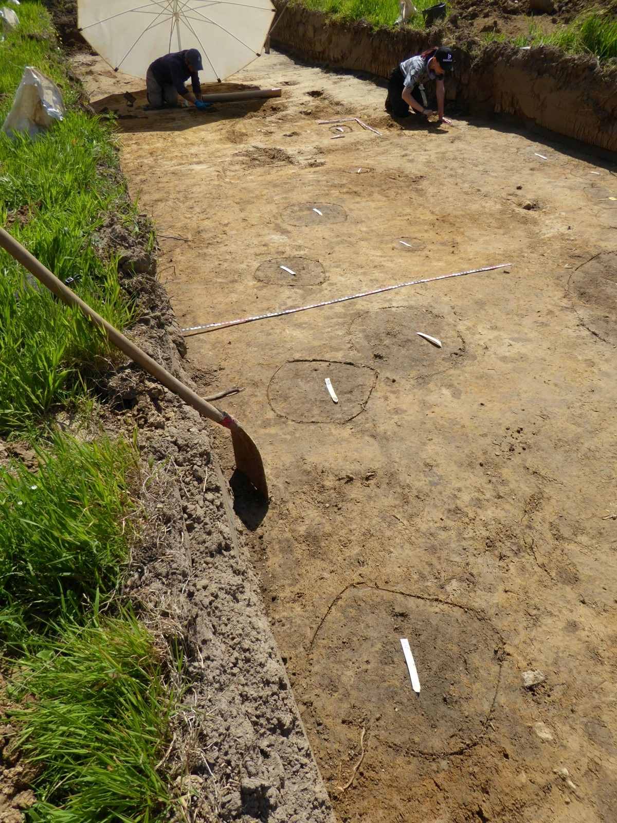 Pfostenspuren im Planum. Im Hintergrund zwei Archäologen bei der Arbeit im Schnitt