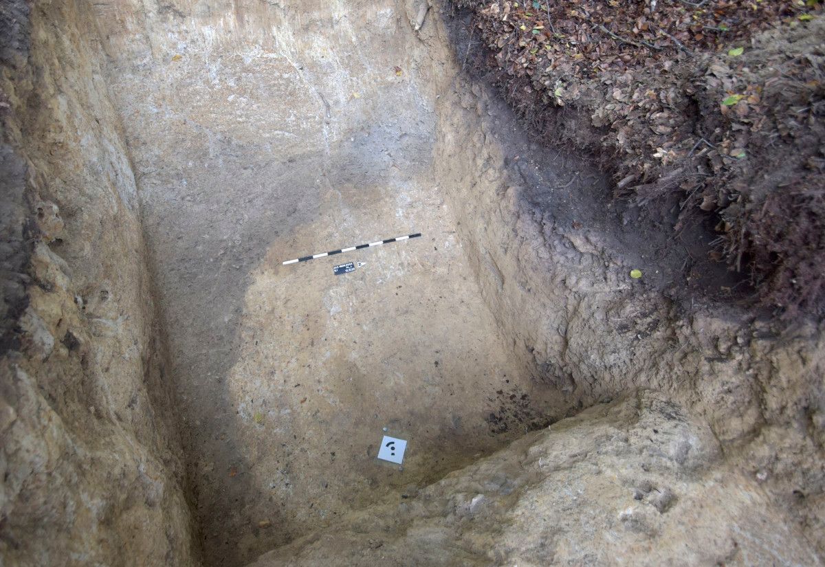 Früher Steinkohlebergbau im Ruhrgebiet: Archäologen entdecken bislang unbekannten Stollen in Sprockhövel