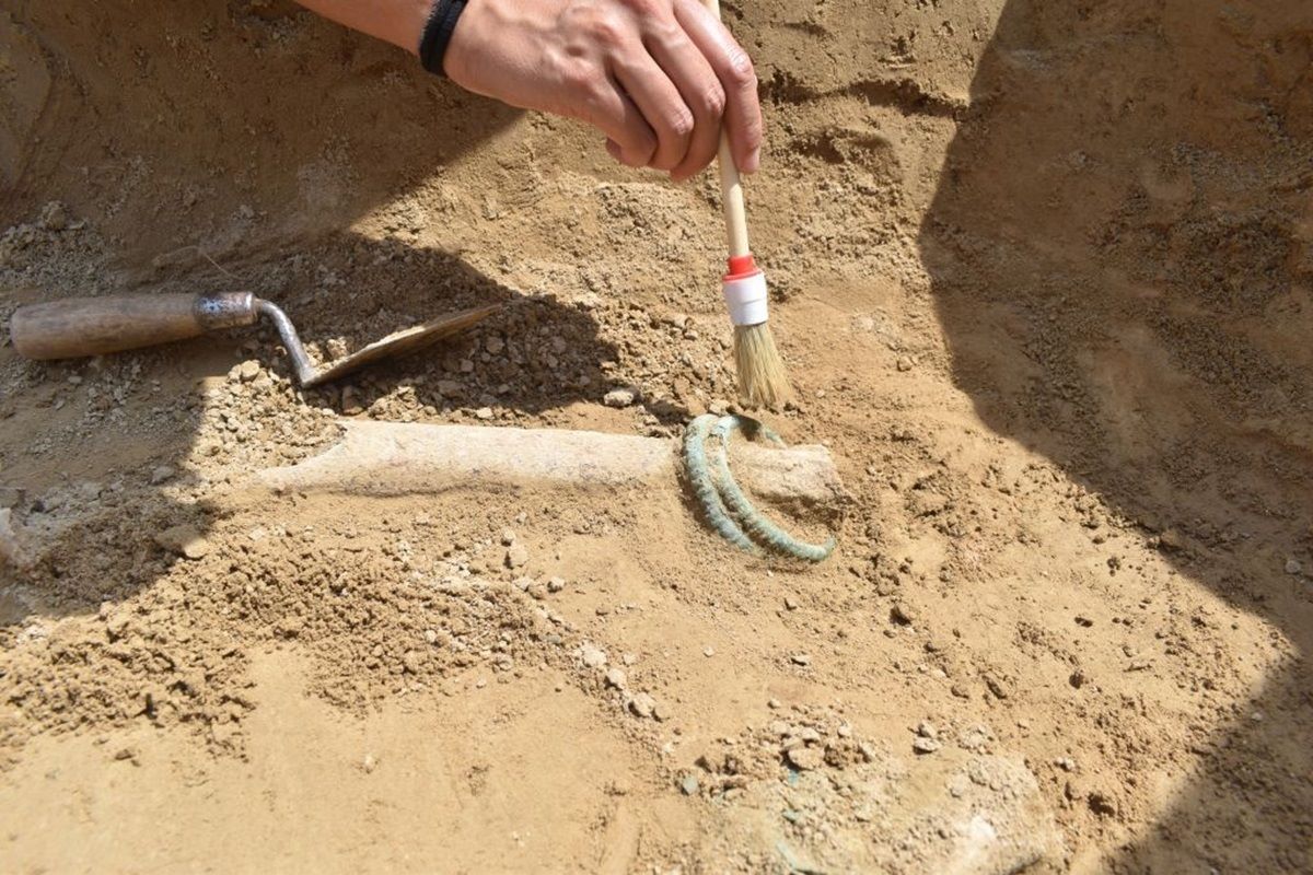 Freilegung der bronzenen Beinringe einer Frauenbestattung 