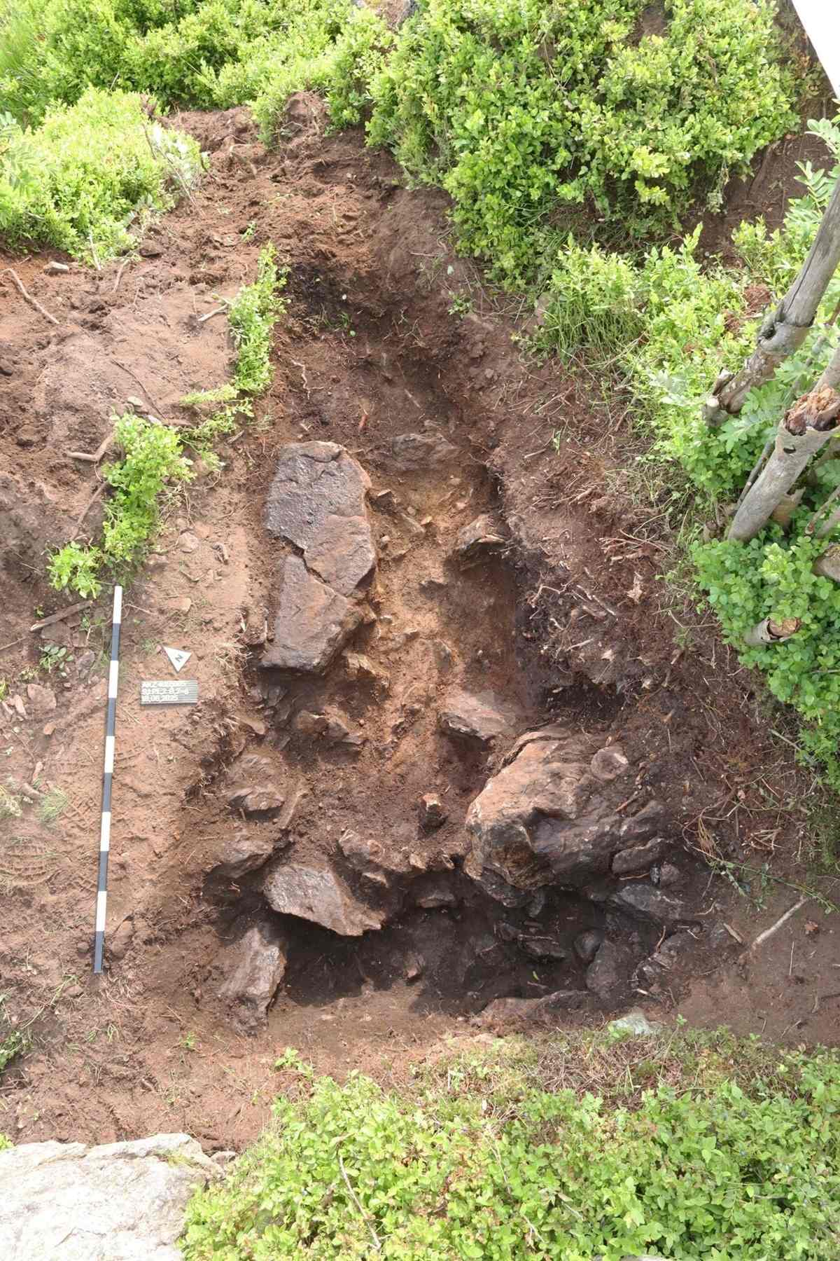 Im Zentrum befindet sich eine Ausgrabungsstelle mit freigelegten Steinen und Erde. Die Steine sind unregelmäßig geformt und liegen teilweise übereinander. Links neben der Grabung liegt ein Maßstab mit abwechselnd schwarzen und weißen Segmenten. Um die Ausgrabung herum wächst dichtes grünes Gras und niedrige Pflanzen.