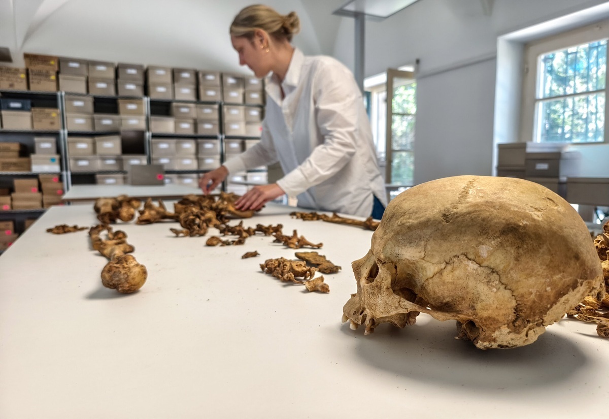 Im Vordergrund liegt ein menschlicher Schädel auf einem weißen Tisch, daneben zahlreiche weitere Knochen. Im Hintergrund steht eine Person in weißer Kleidung an dem Tisch und ordnet die Knochen. Der Raum ist hell, mit Regalen voller beschrifteter Archivboxen an den Wänden und großen Fenstern, durch die Tageslicht einfällt.