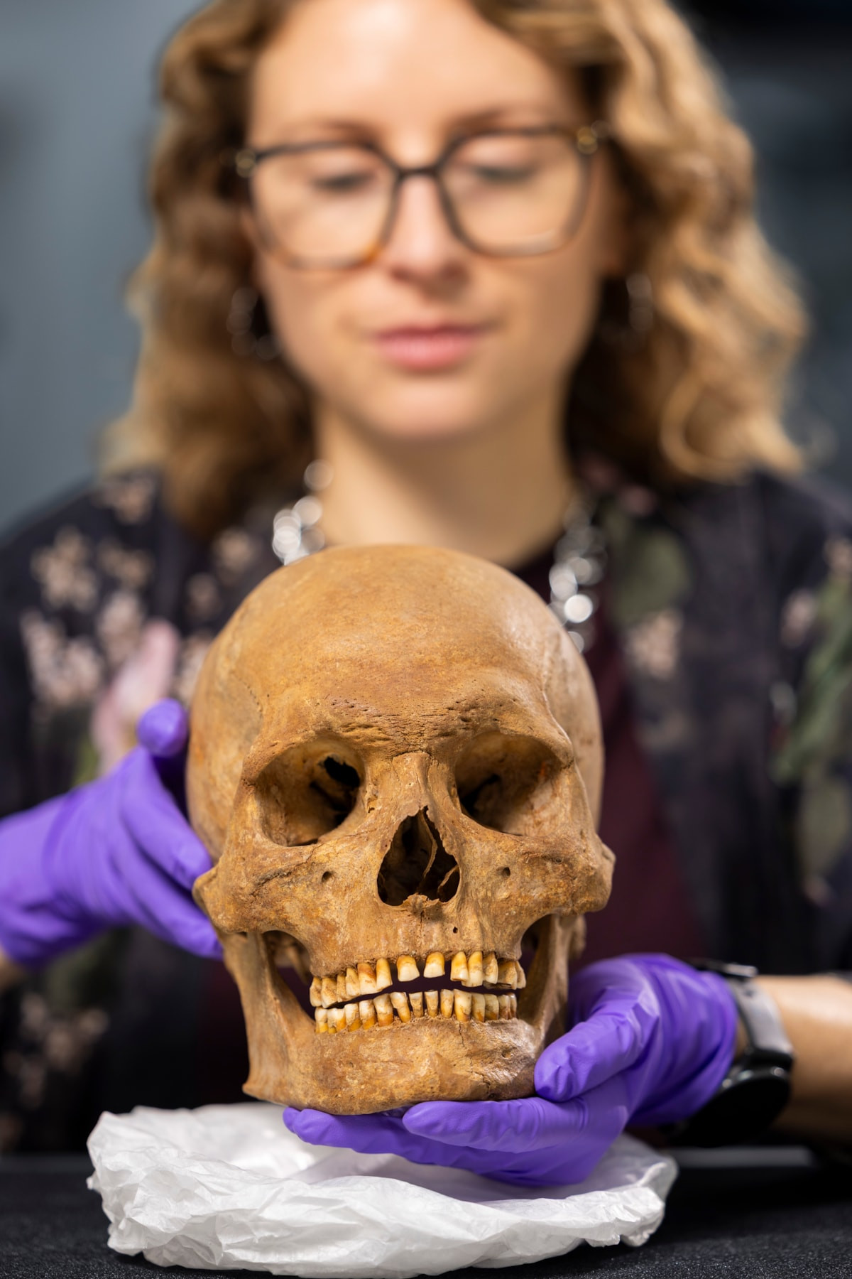 Im Vordergrund befindet sich ein menschlicher Schädel, der auf einem weißen Tuch liegt. Eine Person mit Brille und lila Handschuhen hält den Schädel und blickt darauf. Der Hintergrund ist unscharf, sodass die Aufmerksamkeit auf den Schädel und die Hände gelenkt wird.