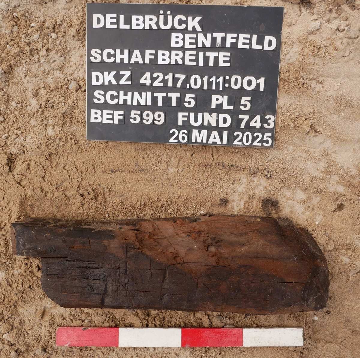 Der möglichen Bedeutung einiger Ritzungen auf dem sekundär für den Brunnenbau verwendeten Teil eines Balkens werden die Archäologen noch weiter nachgehen.