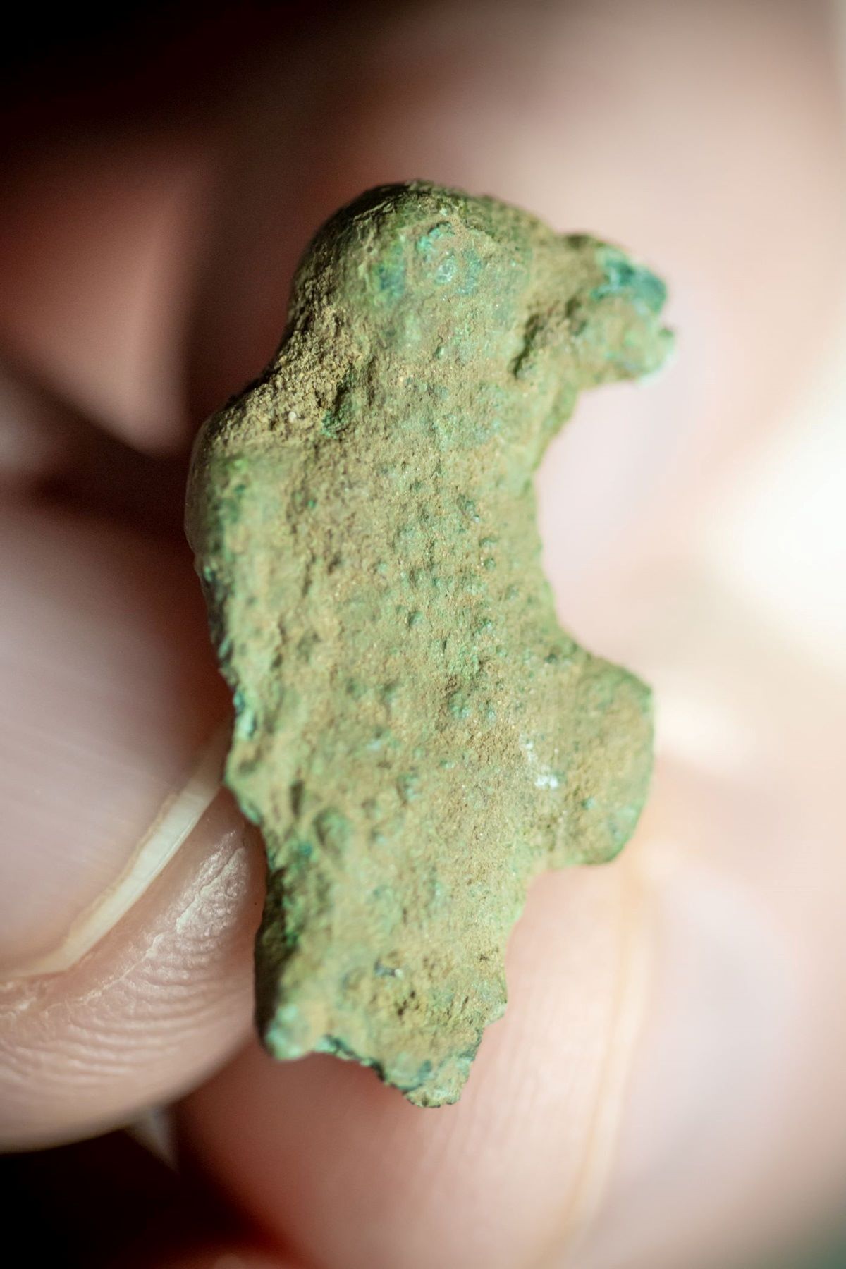 Frisch aus dem Boden kommt eine spätantik-frühmittelalterliche Vogelfibel.