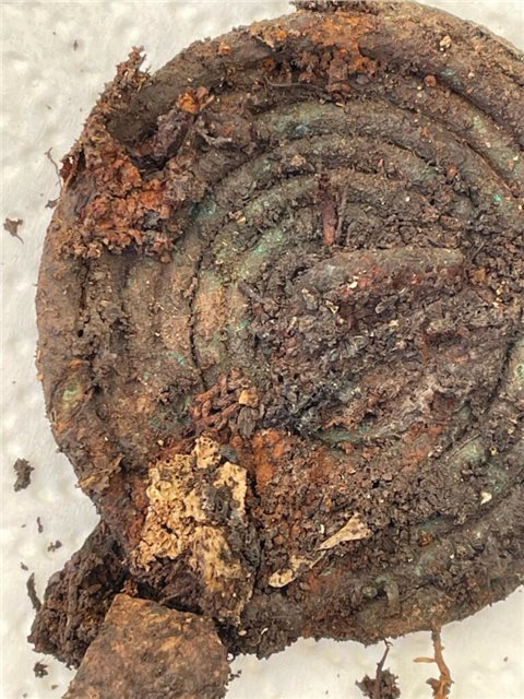 Hallstatt Grab 111, Bronzespirlae