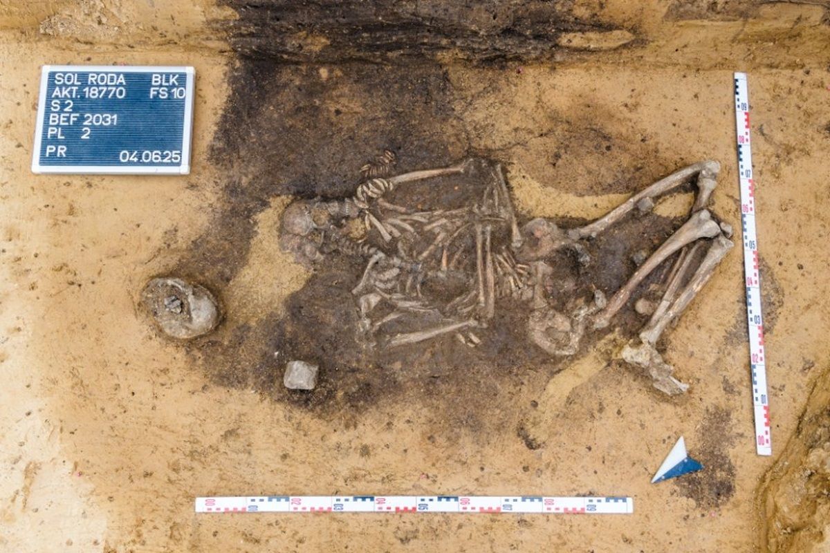 Blick auf ein Skelett mit tierzähnen als Beigabe