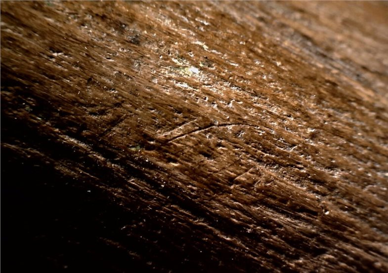 Knochen eines Waldelefanten mit Schnittspuren