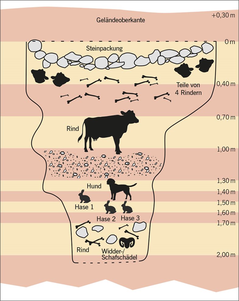 Schematische Darstellung des Opferschachts im Bereich der Fundstelle „Halberstadt Ost“. 